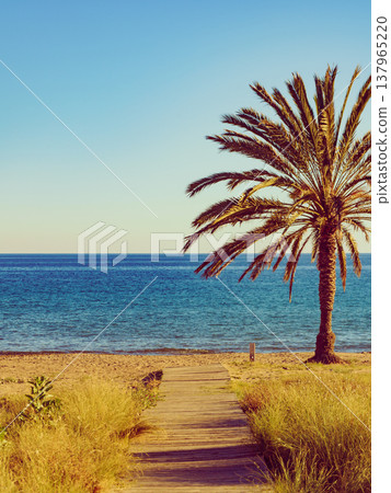 Percheles Beach, Murcia Spain Percheles Beach, Murcia Spain 137965220