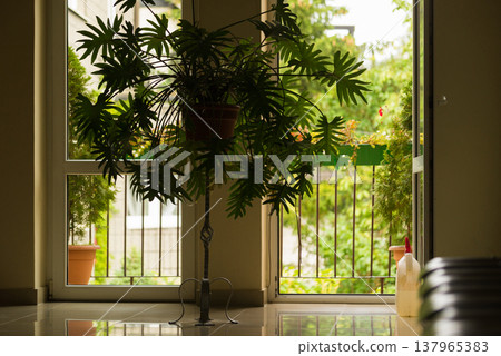 Waiting room with flower 137965383