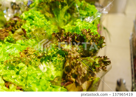 Green endive lettuce on shop shelf Green endive lettuce on shop shelf 137965419