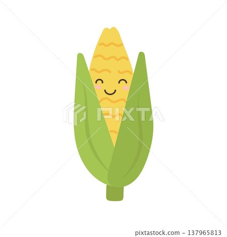 Corn food illustration and cartoon design icon with character cute nature. Isolated summer background and corn vegetable plant with farm white food. Health corn graphic and healthy cartoon 137965813