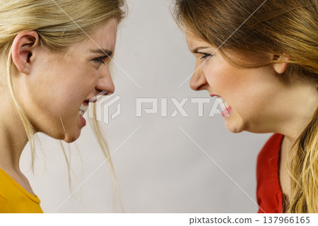 Angry fury girls screaming at each other 137966165