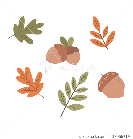 Assorted autumn leaves and acorn groups in vector style isolated on white background 137966219
