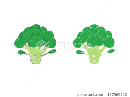 Broccoli illustration Broccoli illustration 137966220