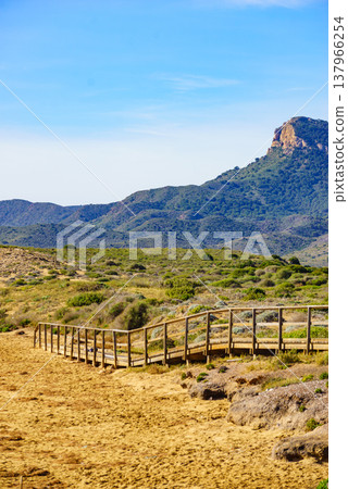 Beach with wooden path to sea water. 137966254