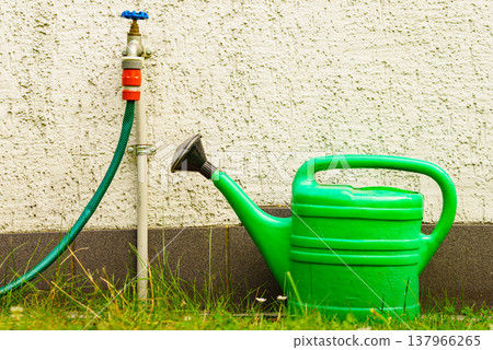 Watering green can on garden plot Watering green can on garden plot 137966265
