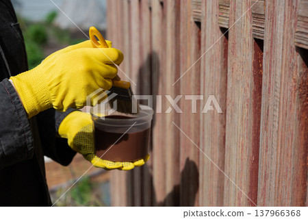 Person applying brown paint to wooden fence while wearing yellow gloves during daytime in a garden setting 137966368