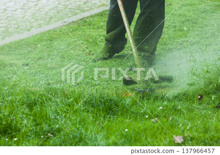 Man mowing green grass using brushcutter Man mowing green grass using brushcutter 137966457