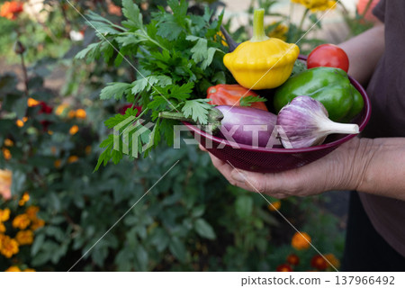 Fresh vegetable melange on wooden rustic background. 137966492