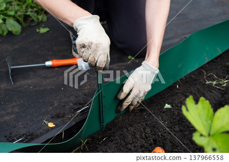 gardener install plastic grass edge around the tree in the garden gardener install plastic grass edge around the tree in the garden 137966558