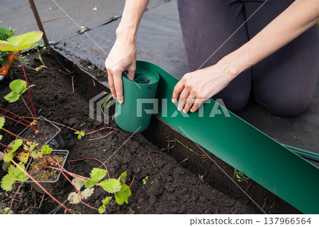 gardener install plastic grass edge around the tree in the garden gardener install plastic grass edge around the tree in the garden 137966564
