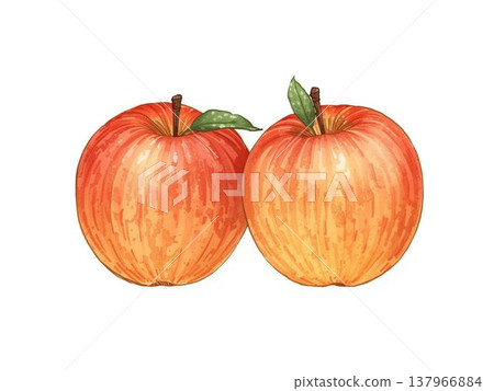 富士林戈 137966884