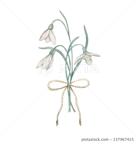 snowdrop flower with tied bow watercolor composition 137967425
