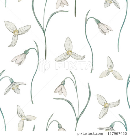 snowdrop flower seamless pattern watercolor snowdrop flower seamless pattern watercolor 137967430