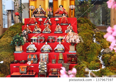 Spring scenery / Beautiful Hina dolls 137967597