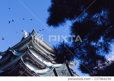 烏鴉翱翔於名古屋城上空 137968290