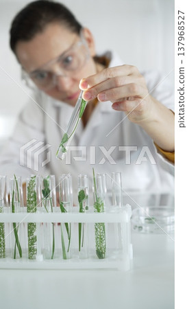 Woman scientist with protective glasses, is holding a test tube with plants inside in laboratory setting, vertical view. Science and medicine Woman scientist with protective glasses, is holding a test tube with plants inside in laboratory setting, vertical view. Science and medicine 137968527