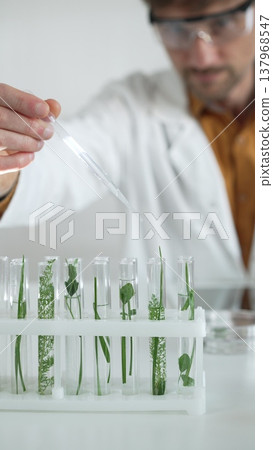 Man science researcher, wearing a lab coat and protective glasses, drips liquid from a pipette into a test tube with a green plant. His face is focused, captured in a vertical portrait. Science and Man science researcher, wearing a lab coat and protective glasses, drips liquid from a pipette into a test tube with a green plant. His face is focused, captured in a vertical portrait. Science and 137968547