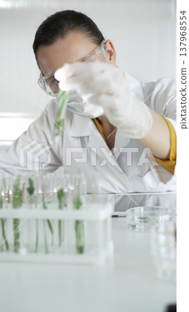 Woman scientist wearing a lab coat, white gloves, face mask and protective glasses, is holding a test tube with plants inside, vertical portrait view. Science and medicine Woman scientist wearing a lab coat, white gloves, face mask and protective glasses, is holding a test tube with plants inside, vertical portrait view. Science and medicine 137968554