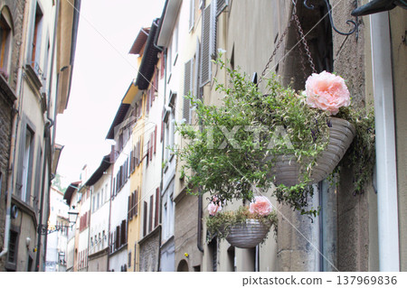 Windowsill with flowers Windowsill with flowers 137969836