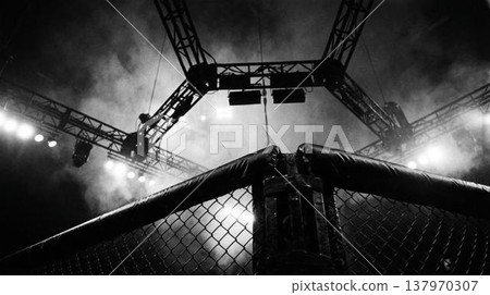 Dark, moody view of fighting octagon, overhead structure, bright stadium lights illuminate smoky air. Dark, moody view of fighting octagon, overhead structure, bright stadium lights illuminate smoky air. 137970307