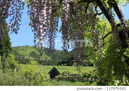 令人想起日本原汁原味的風景－第四部分 137970383
