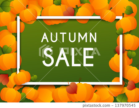 Autumn Sale Banner with pumpkins and leafs, Poster, Flyer. Vector illustration. 137970545
