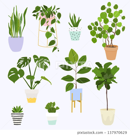 Set of decorative house plants. Flowerpot isolated objects, houseplant flower pot collection. Set of decorative house plants. Flowerpot isolated objects, houseplant flower pot collection. 137970629
