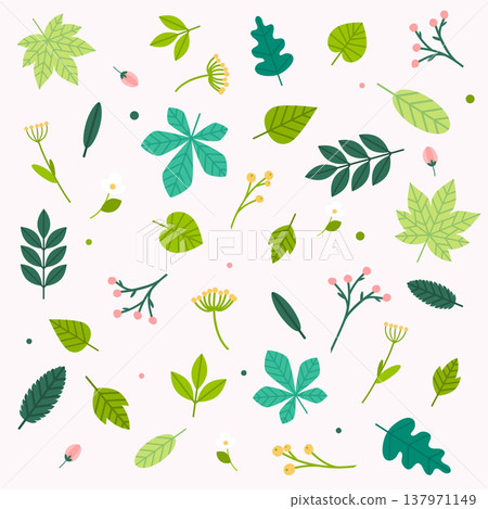 Spring flowers and leaves set. Flat design modern vector illustration concept. Spring flowers and leaves set. Flat design modern vector illustration concept. 137971149