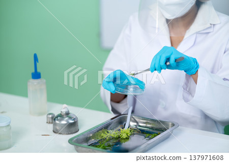 Scientist biochemists are preparing tissue samples to isolate 137971608