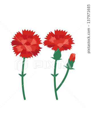 母親節紅色康乃馨插畫 137971685