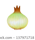 Vegetables - Onions - Food Ingredients 137971718