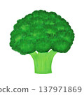 Vegetables - Broccoli - Food Ingredients 137971869