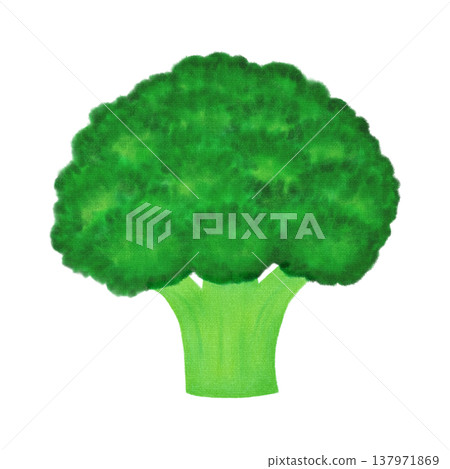 Vegetables - Broccoli - Food Ingredients Vegetables - Broccoli - Food Ingredients 137971869