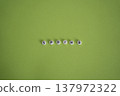 淺綠色背景上的春季文字 137972322