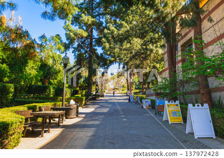 UCLA campus in the United States 137972428