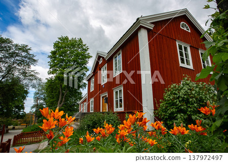 Red wooden houses in Scandinavia and summer flowers 137972497