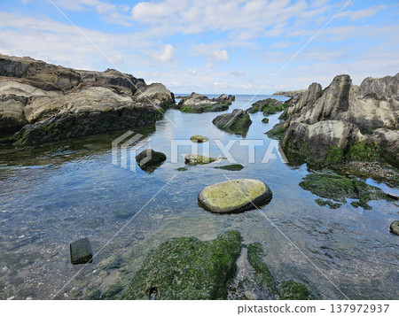 The coast of Jogashima, Miura City, Kanagawa Prefecture The coast of Jogashima, Miura City, Kanagawa Prefecture 137972937