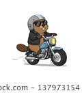 一隻騎摩托車的土撥鼠 137973154