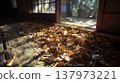 Fallen leaves from an abandoned house 137973221