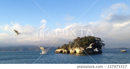 島嶼漂浮在海上,海鷗在空中飛翔-適合製作橫幅廣告。 島嶼漂浮在海上,海鷗在空中飛翔-適合製作橫幅廣告。 137973357