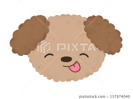 Cute Toy Poodle with a smiling, playful expression and tongue sticking out (illustration) 137974040