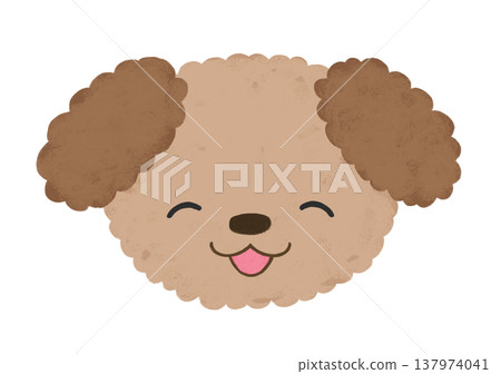 Cute Toy Poodle with a smiling, open-mouthed expression (illustration) 137974041