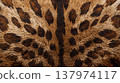 Close-up showcases the beautiful brown and black spots on animal fur, creating a stunning natural pattern and texture across the frame. 137974117