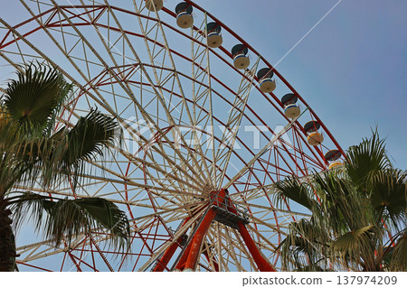 Giant Ferris Wheel and Palm Trees Against Clear Blue Sky, Summer Amusement Park Attraction, Low Angle View of Entertainment Structure and Tropical Greenery, Leisure and Tourism Concept 137974209