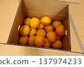 A box of mandarins placed in a Japanese-style room 137974233