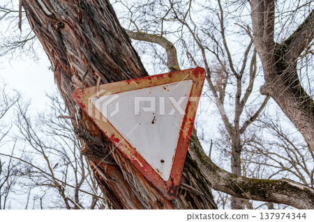give way road sign is nailed on tree give way road sign is nailed on tree 137974344