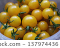 Fresh Yellow Cherry Tomatoes in Plastic Container 137974436