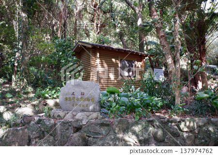 足鶴亞熱帶植物園,高知縣土佐清水市 足鶴亞熱帶植物園,高知縣土佐清水市 137974762