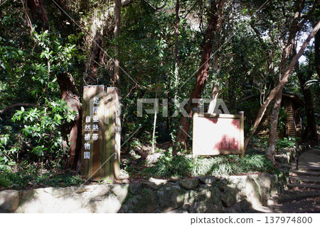 Ashizuri Subtropical Botanical Garden, Tosashimizu City, Kochi Prefecture 137974800