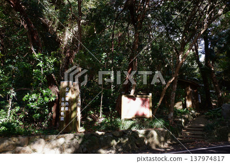 足鶴亞熱帶植物園,高知縣土佐清水市 足鶴亞熱帶植物園,高知縣土佐清水市 137974817